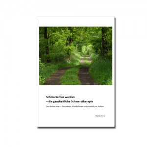 ebook-schmerzenloswerden